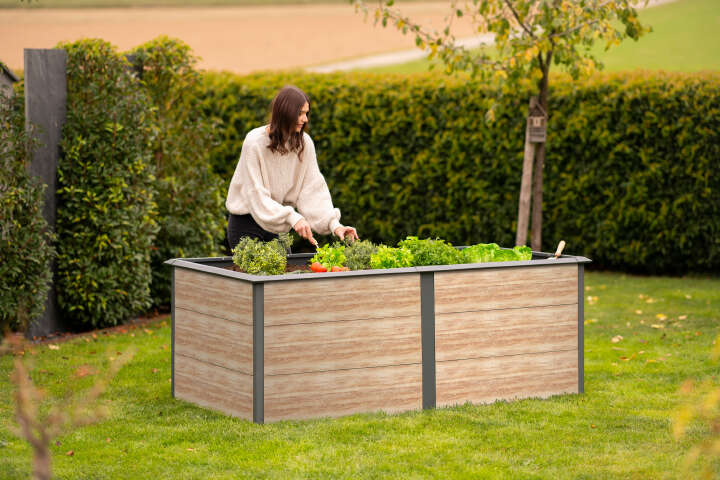 WESTMANN Hochbeet Primus Multi